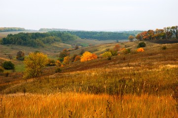 Colors of autumn in valley landscape
