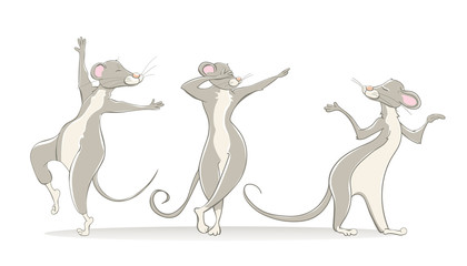 Three funny dancing mice or rats on a white background