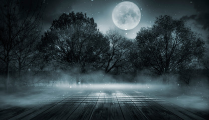 Dark forest. Gloomy dark scene with trees, big moon, moonlight. Smoke, shadow. Abstract dark, cold street background. Night view.	