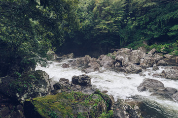 Obraz premium beautiful mountain river torrent