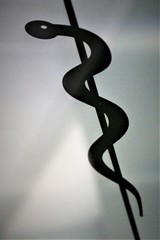 Obraz premium Medicine