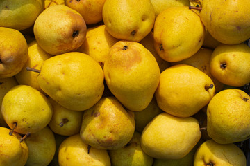 Fresh yellow pears. Gifts of Autumn.