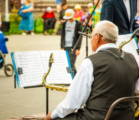 Orchestra in the park. selected focus