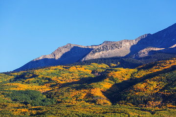 Autumn in Colorado