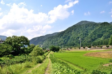 【新潟県南魚沼郡】越後湯沢 のどかな田園風景