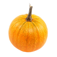 Fresh pumpkin fruits isolated on a white background