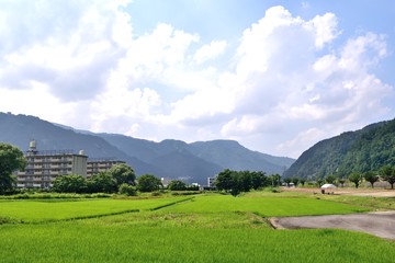 【新潟県南魚沼郡】越後湯沢 のどかな田園風景