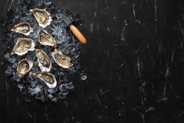 Fresh opened oysters and ice on a black stone textured background. Top view with copy space. Close-up shot.