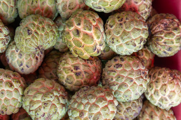 Bunch of custard apple fruits (annona), (annonaceae) - close up