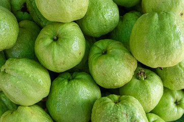 Bunch of guava tropical fruits (psidium guajava) - close up