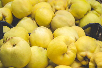 Quince