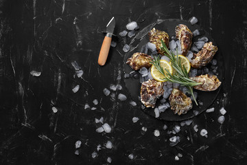 Fresh closed oysters, ice and lemon on a round slate, black stone textured background. Top view with copy space. Close-up shot.