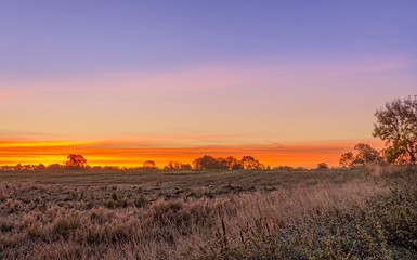Frosty dawn on the fields.