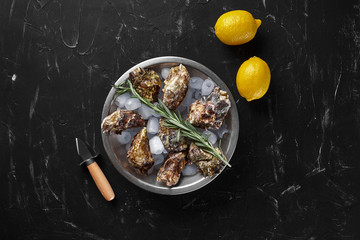 Fresh closed oysters, ice and lemon on a round metal plate, black stone textured background. Top view with copy space. Close-up shot.
