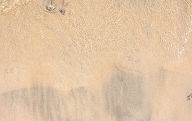 Fototapeta na wymiar sable fin plage algue ile de la réunion