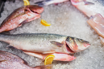 Top view of raw fish on the ice in restaurant.