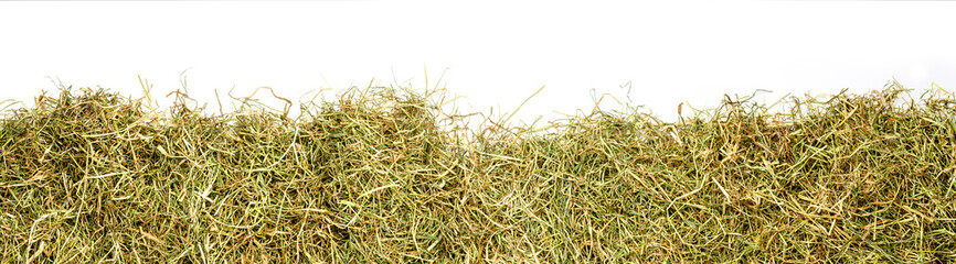 a bunch of hay as banner, isolated with white background - obrazy, fototapety, plakaty