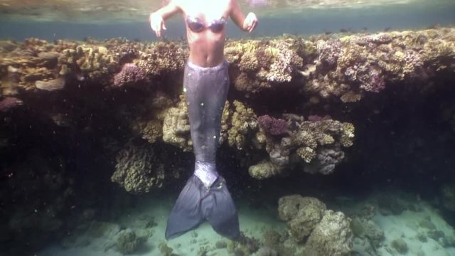 Cameraman shoots video young woman underwater model mermaid. Creativity and art of creating images on background of seabed.