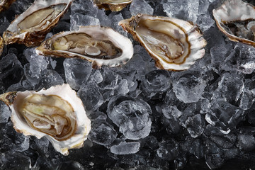 Fresh opened oysters in ice on a black stone textured background. Top view. Close-up shot.