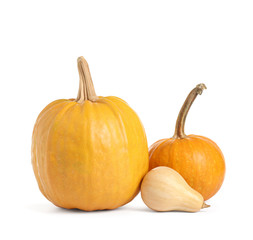 Fresh ripe pumpkins isolated on white background. Autumn season