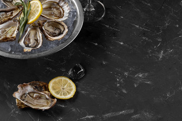 Fresh opened oysters, ice and lemon on a round metal plate, black stone textured background. Top view with copy space. Close-up shot.
