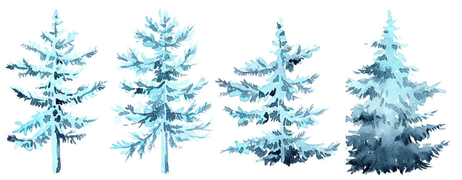 Set of watercolor christmas trees, hand drawn on a white background. Christmas card. blue christmas tree with snow on the branches.