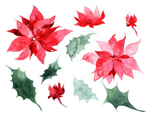 Watercolor Christmas trees, holly and poinsettia. Hand painted vintage set with branches, berries and leaves isolated on white background. Traditional evergreen elements for Christmas wreath.