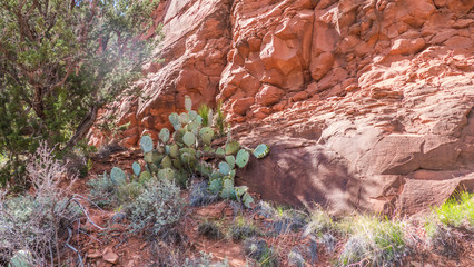  View from the mountain in Sedoa, America