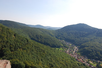 Fototapeta na wymiar Pfälzer Wald bei Annweiler in Rheinland-Pfalz