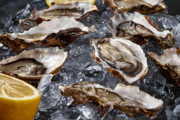 Fresh opened oysters, ice and lemon on a black stone textured background. Top view. Close-up shot.