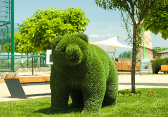 Beautiful bear shaped topiary at zoo on sunny day. Landscape gardening
