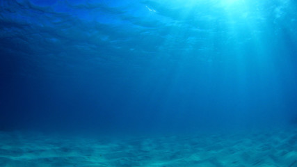 Fototapeta na wymiar Underwater background photo in ocean 