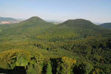 Pfälzer Wald bei Annweiler in Rheinland-Pfalz