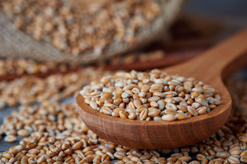 Raw wheat grain in wooden spoon on rustic background