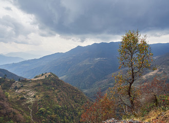 Beautiful landscape on harvested rice terraces on a hill in a remote village in the Himalayas. View from the trekking route to Mohare Danda. Cloudy autumn day. Nepal.