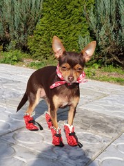 wonderful world around