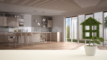 White table top or shelf with green plant in pot shaped like house, modern blurred kitchen in the background, interior design, real estate, eco architecture concept idea