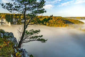 Fototapeta na wymiar Donautal im Herbst