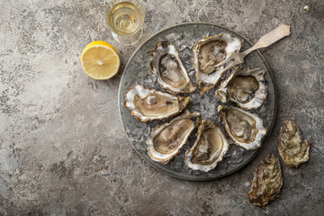 opened fresh raw oysters on gray plate served with lemon and white wine