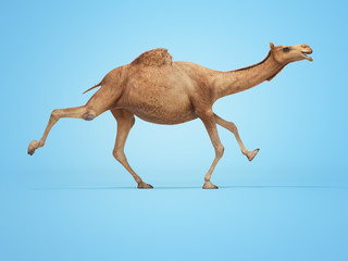 3d rendering concept of camel running on blue background with shadow