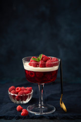 Vanilla panna cotta and raspberry jelly dessert