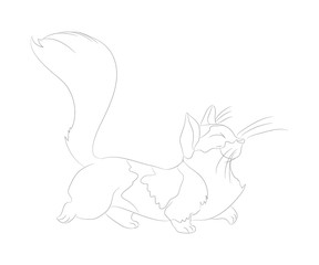 vector illustration of a cat that is walking, line drawing