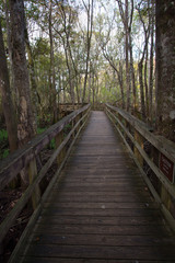 Boardwalk at Manatee Springs State Park, Chiefland, Florida