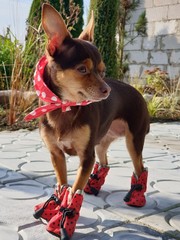 wonderful world around