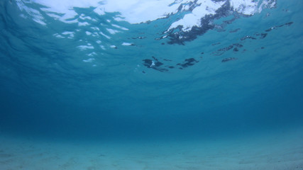 Naklejka premium Clear blue ocean 