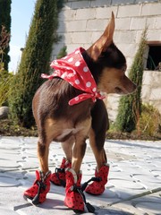 wonderful world around