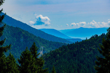 Trees and valley in Lagorai