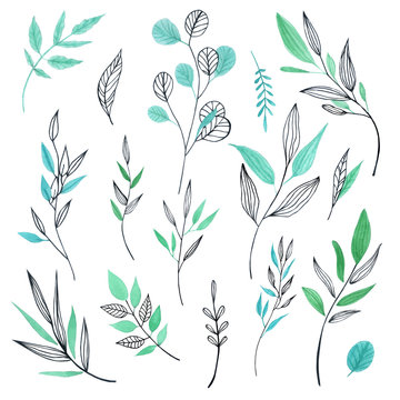 Set of watercolor leaves and branches. Design elements for patterns, laurels and compositions for a wedding or invitation in a floral style. 
