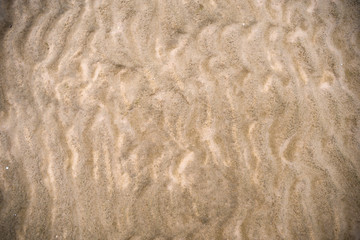 Ripples in wet sand background texture. Beach sand background