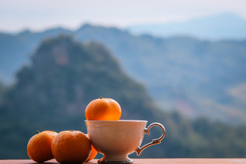 Orange fruits in white cup mountain background